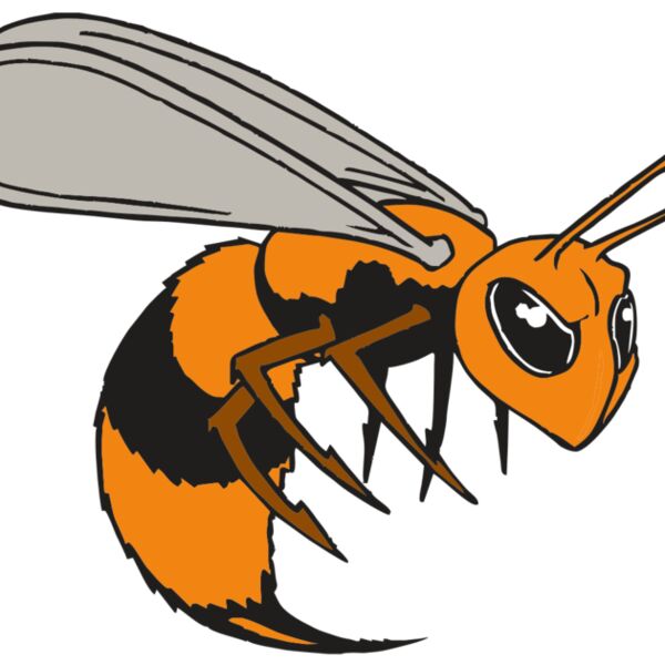 AR BEE 34 RC Thumbnail