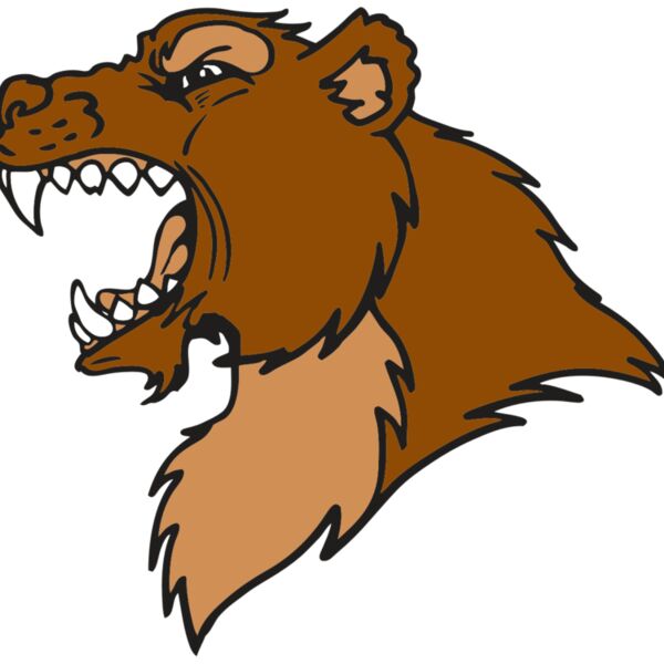 AR BEAR 22 RC Thumbnail
