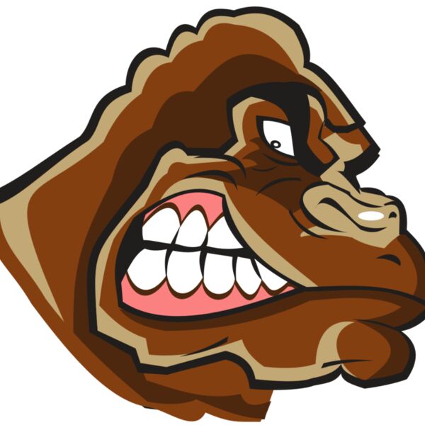 GORILLA HD0502 RQC Thumbnail