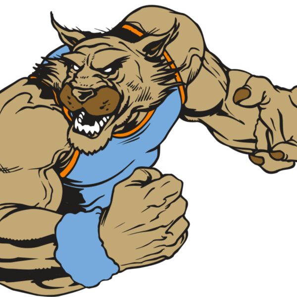 AR WILDCAT 46 RC Thumbnail