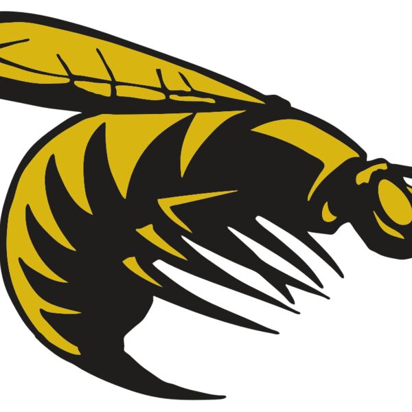 AR BEE 49 RC Thumbnail