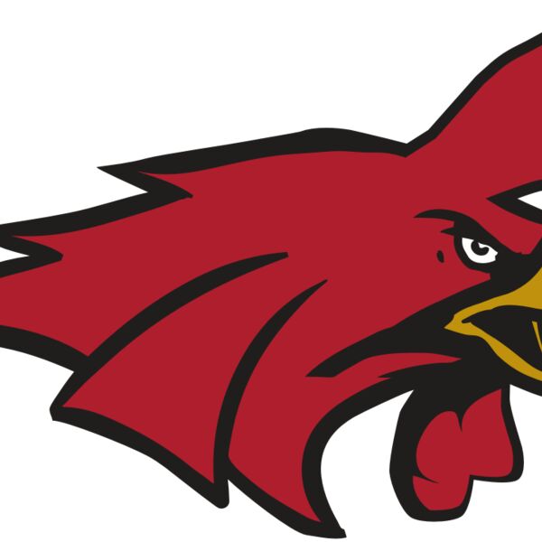 AR15 GAMECOCK 01 RQC Thumbnail