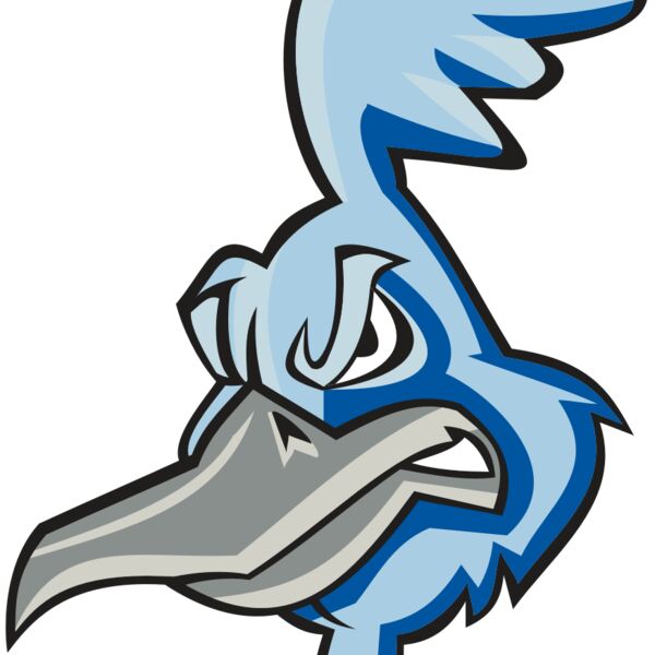 ROADRUNNER HD0501 RQC Thumbnail