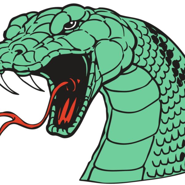 AR SNAKE 10 RC Thumbnail