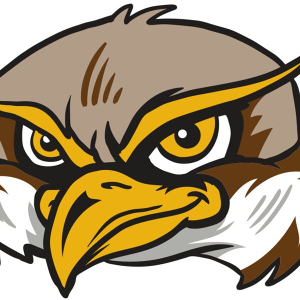 AR12 OWL 02 RQC Thumbnail