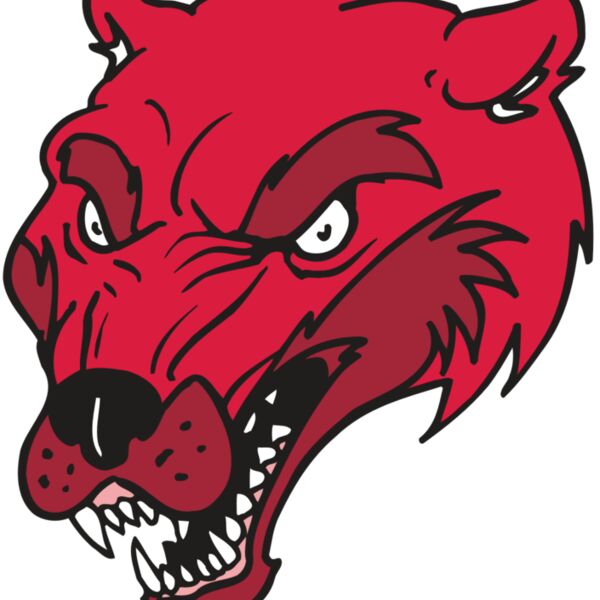 AR5 Wolverine 12 RQC Thumbnail