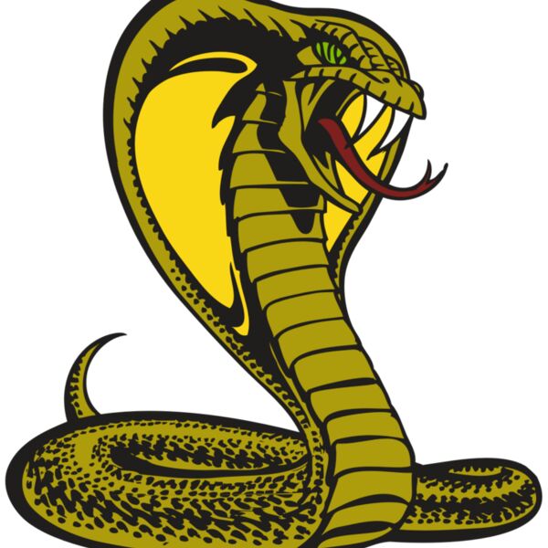 BAW SNAKE 02 RC Thumbnail