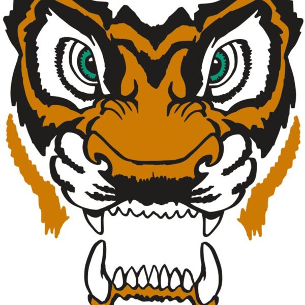 AR TIGER 11 RC Thumbnail