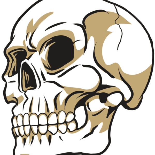 AR24 SKULL 08 RQC Thumbnail