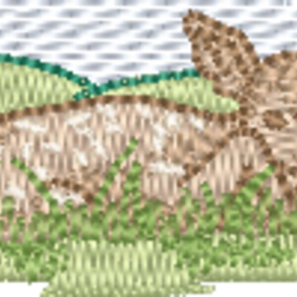 370550 Thumbnail