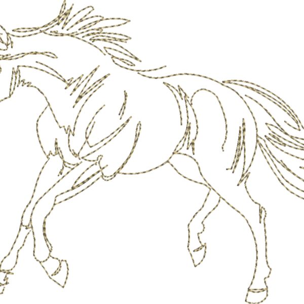 WS602 48 Thumbnail