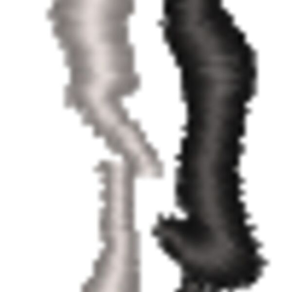 FA268 Thumbnail