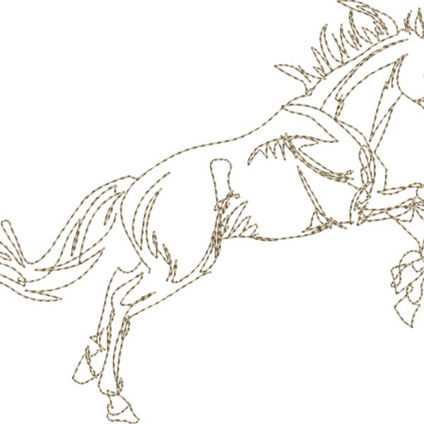 WS600 48 Thumbnail