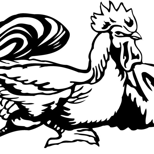 CHICK010 Thumbnail