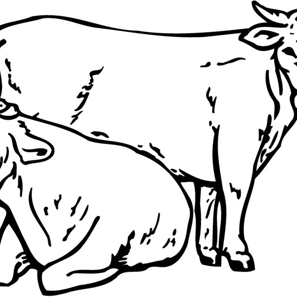 COW027 Thumbnail