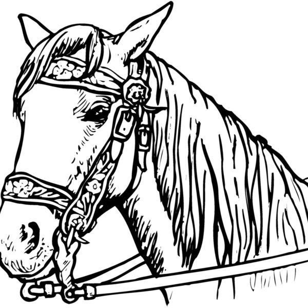 HORSE005 Thumbnail