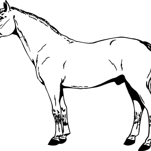 HORSE027 Thumbnail