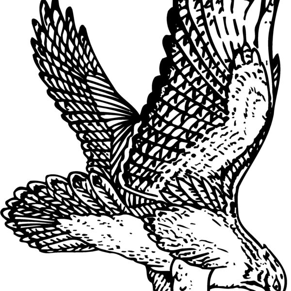 EAGLE026 Thumbnail