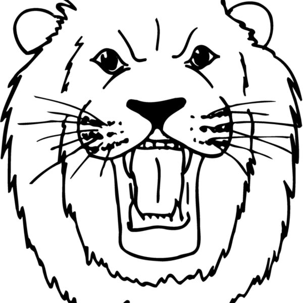 CAT10 Thumbnail
