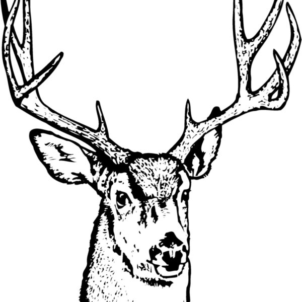 DEER016 Thumbnail