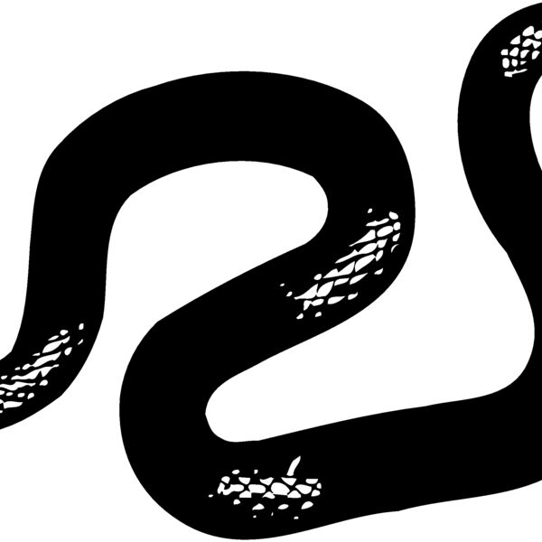 SNAKE013 Thumbnail