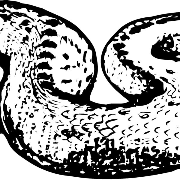 SNAKE018 Thumbnail