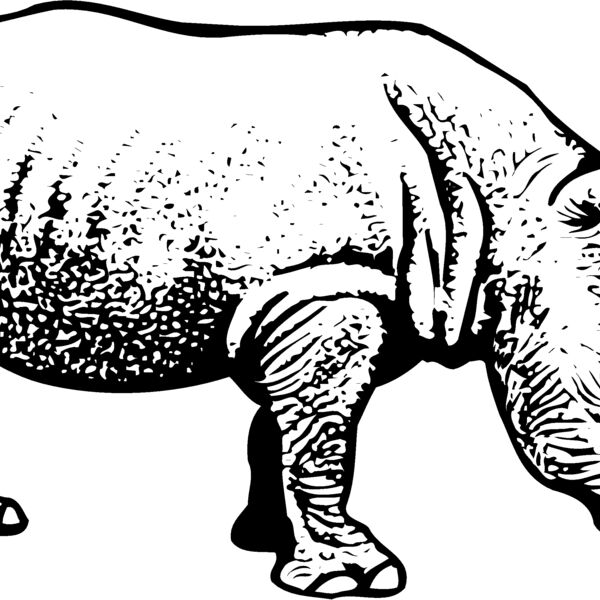 RHINO001 Thumbnail