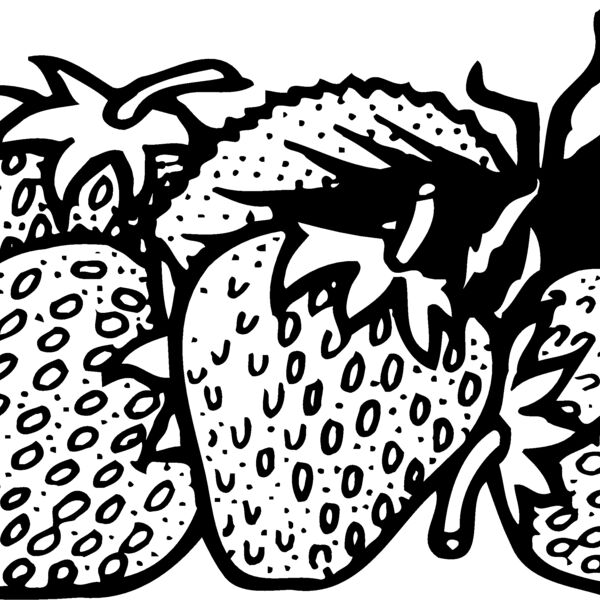 FRUIT038 Thumbnail