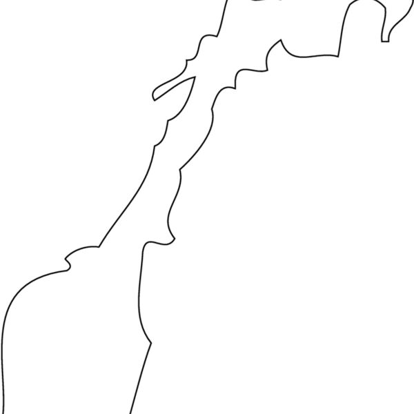 NORWEY Thumbnail
