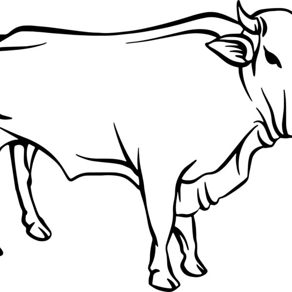 Cow   Clipart 2 Thumbnail