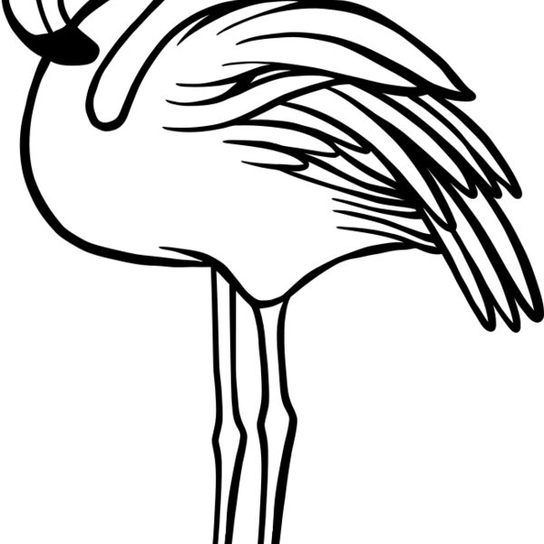 Flamingo   Clipart 1 Thumbnail