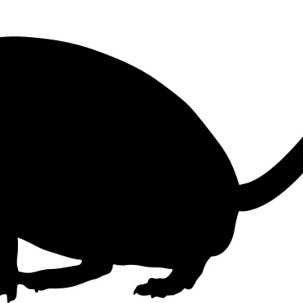 Mouse   Clipart 1 Thumbnail