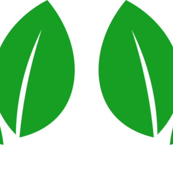 11 Leaves Thumbnail