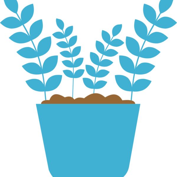 Plant 5 Thumbnail