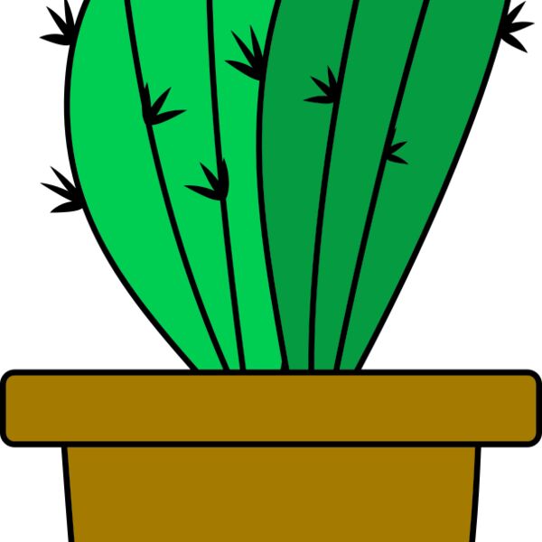 Cactus 4 Thumbnail