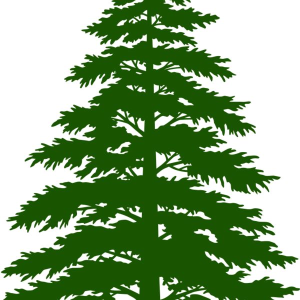 Tree Plant 3 Thumbnail