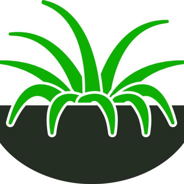 Plants 6 Thumbnail