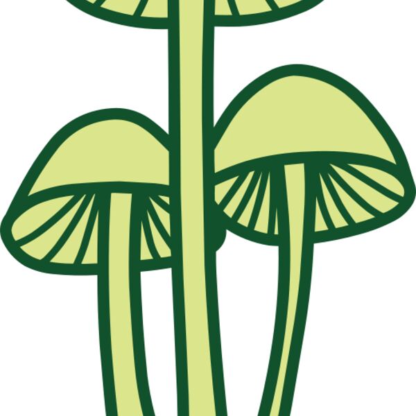Mushroom 2 Thumbnail