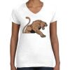 Women's Fine Jersey V-Neck Tee Thumbnail